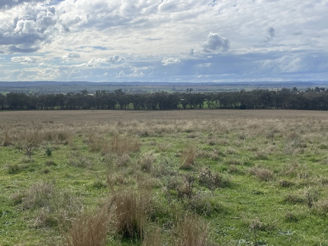 Part Carramar 157 Rhodes Street Dunedoo